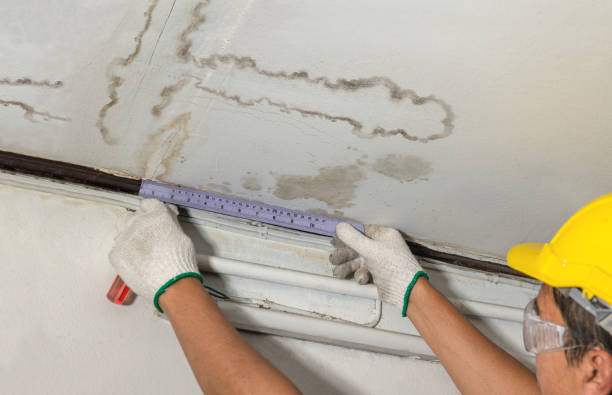Reliable Mold Remediation contractor in Lillian, TX by Water Damage Irwin